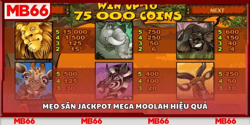 Bật mí mẹo săn jackpot Mega Moolah hiệu quả