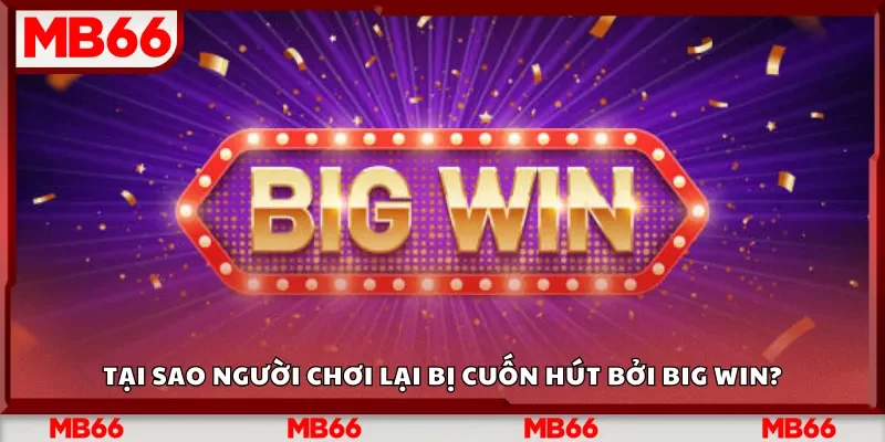 Tại sao người chơi lại bị cuốn hút bởi Big Win?