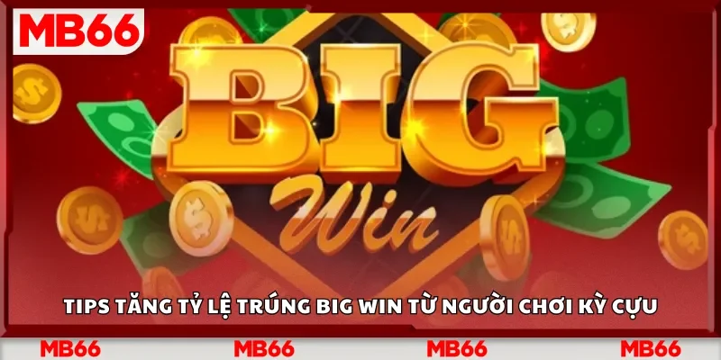 Tips tăng tỷ lệ trúng Big Win từ người chơi kỳ cựu