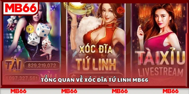 Tổng quan về Xóc Đĩa Tứ Linh Mb66